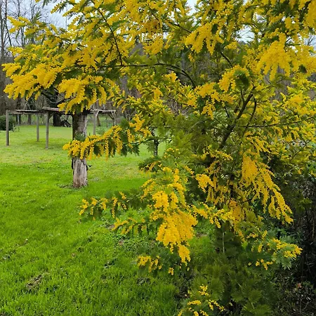 Maison Henria * Cendras